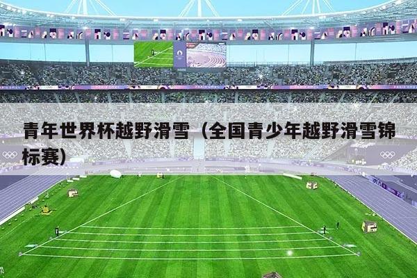 青年世界杯越野滑雪(全国青少年越野滑雪锦标赛)