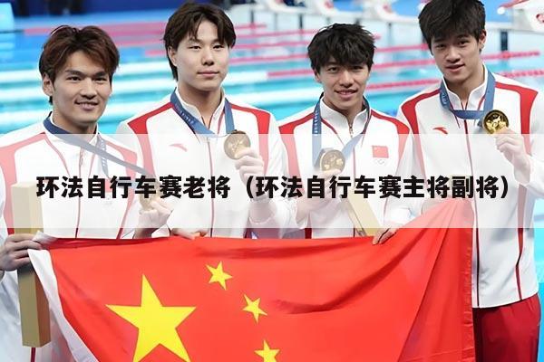 环法自行车赛老将（环法自行车赛主将副将）