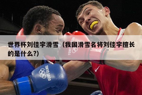 世界杯刘佳宇滑雪（我国滑雪名将刘佳宇擅长的是什么?）