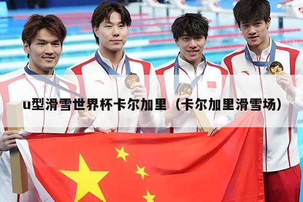 u型滑雪世界杯卡尔加里（卡尔加里滑雪场）