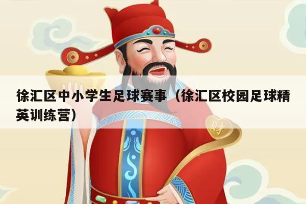 徐汇区中小学生足球赛事（徐汇区校园足球精英训练营）