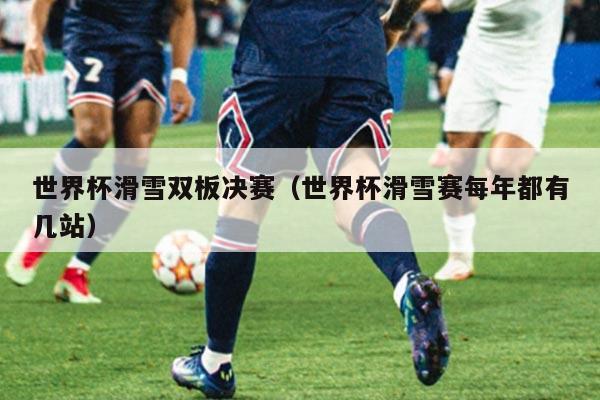 世界杯滑雪双板决赛（世界杯滑雪赛每年都有几站）