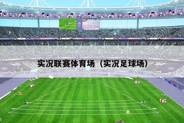 实况联赛体育场（实况足球场）