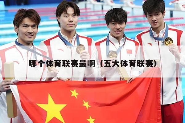 哪个体育联赛最啊（五大体育联赛）