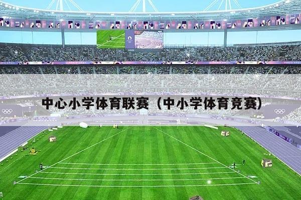 中心小学体育联赛（中小学体育竞赛）