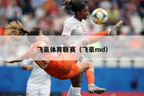 飞豪体育联赛（飞豪md）