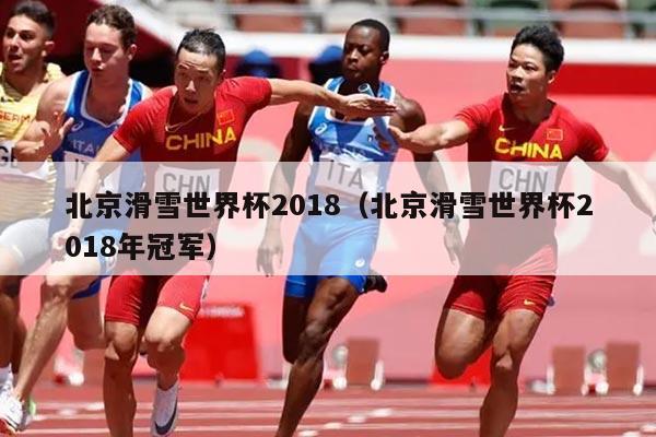 北京滑雪世界杯2018（北京滑雪世界杯2018年冠军）