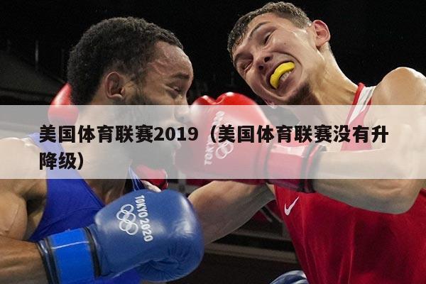 美国体育联赛2019（美国体育联赛没有升降级）