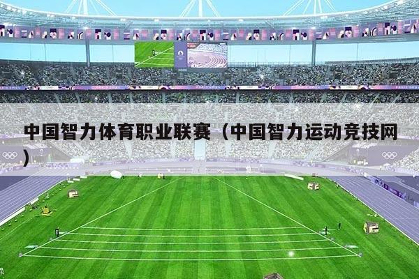 中国智力体育职业联赛（中国智力运动竞技网）