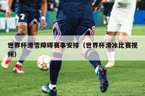 世界杯滑雪障碍赛事安排（世界杯滑冰比赛视频）