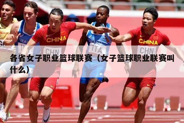 各省女子职业篮球联赛（女子篮球职业联赛叫什么）