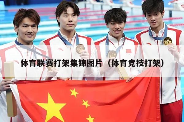 体育联赛打架集锦图片（体育竞技打架）