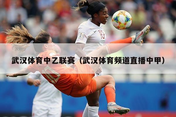 武汉体育中乙联赛（武汉体育频道直播中甲）