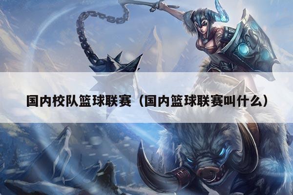国内校队篮球联赛（国内篮球联赛叫什么）