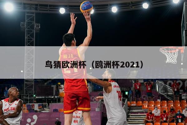鸟猜欧洲杯（鸥洲杯2021）