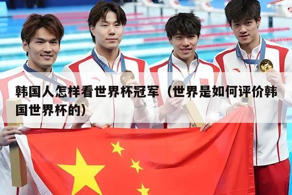 韩国人怎样看世界杯冠军（世界是如何评价韩国世界杯的）