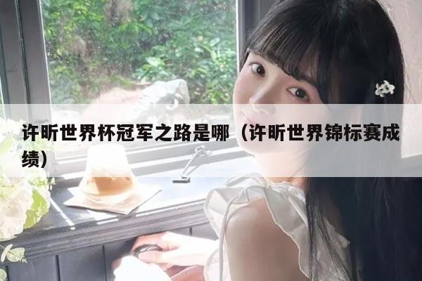 许昕世界杯冠军之路是哪（许昕世界锦标赛成绩）