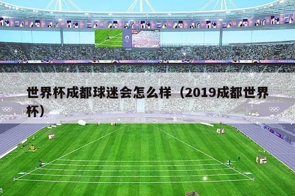 世界杯成都球迷会怎么样（2019成都世界杯）